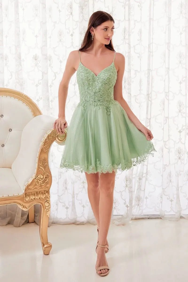 Short A-Line Lace & Tulle Dress by Tux-USA