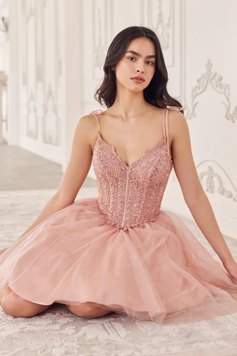 Short A-Line Tulle Dress by Tux-USA