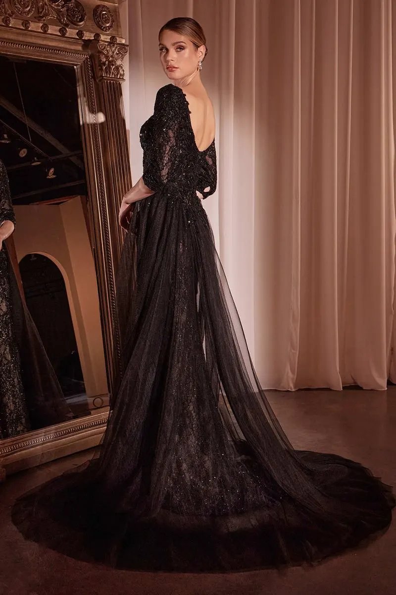 Lone Sleeve Lace Fitted Dress & Overskirt by Partner Label