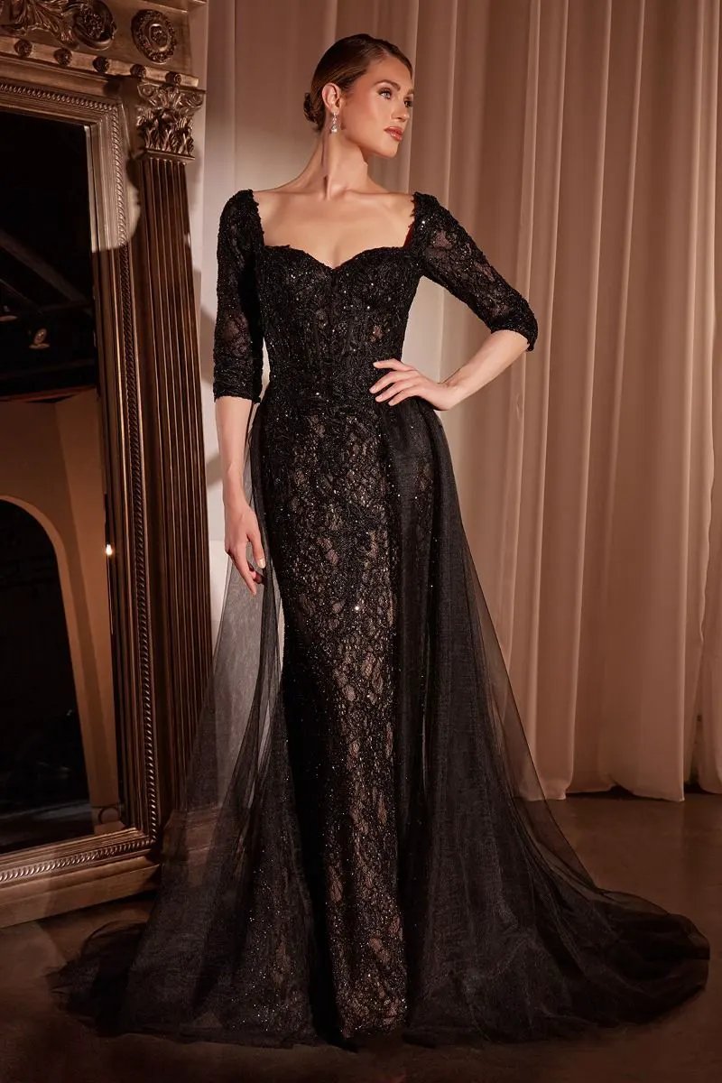Lone Sleeve Lace Fitted Dress & Overskirt by Partner Label