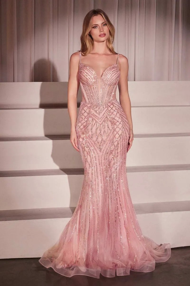 Embellished Fit & Flare Dress by Tux-USA