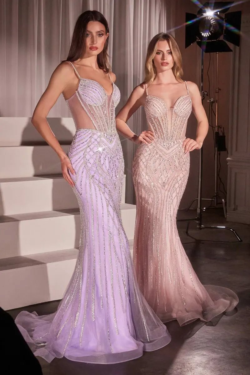 Embellished Fit & Flare Dress by Tux-USA