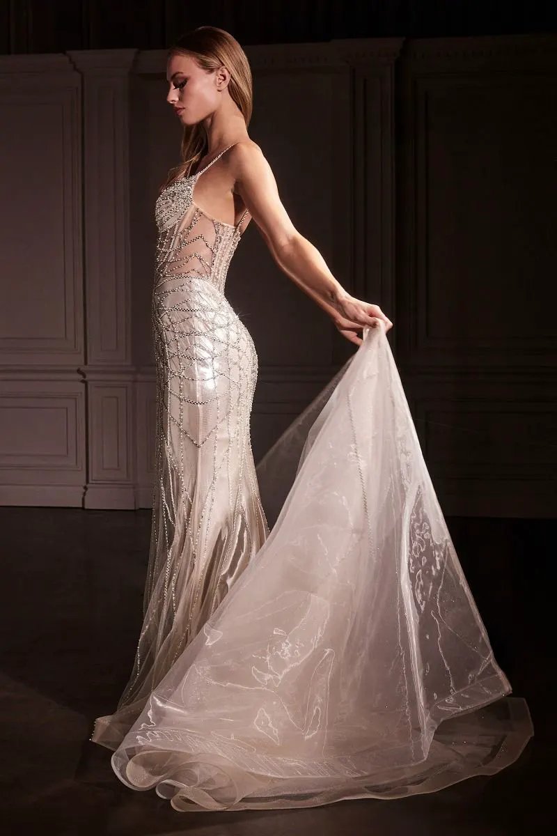 Fit & Flare Crystal Embellished Gown & Overskirt by Tux-USA
