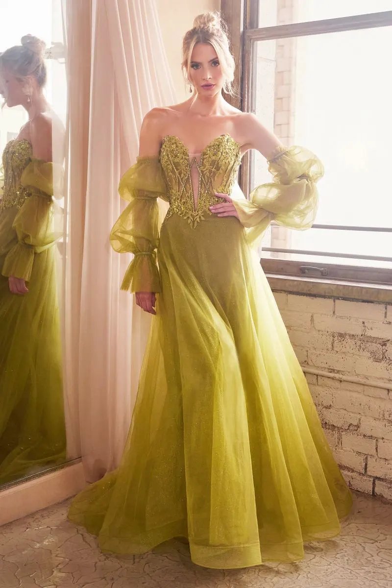 Strapless Ball Gown With Removable Sleeves by Tux-USA