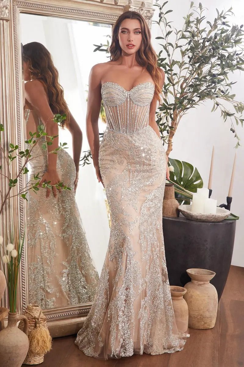 Embellished Silver & Nude Gown by Tux-USA