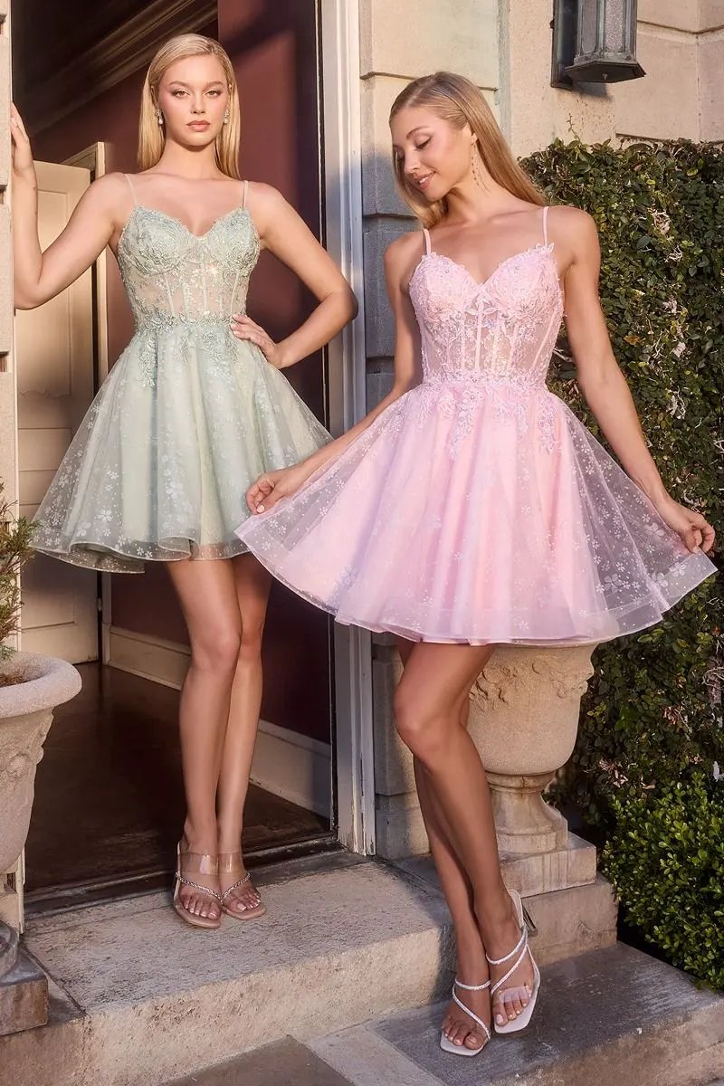 Floral Embroidered Tulle A-Line Mini Dress with Sheer Corset Bodice by Tux-USA