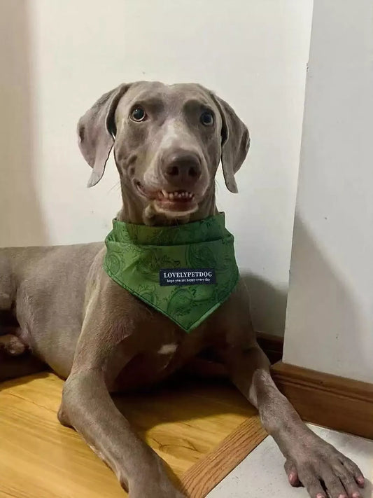 d1756a51baba4ceab51aaaf0e81d31fe-Max-Origin