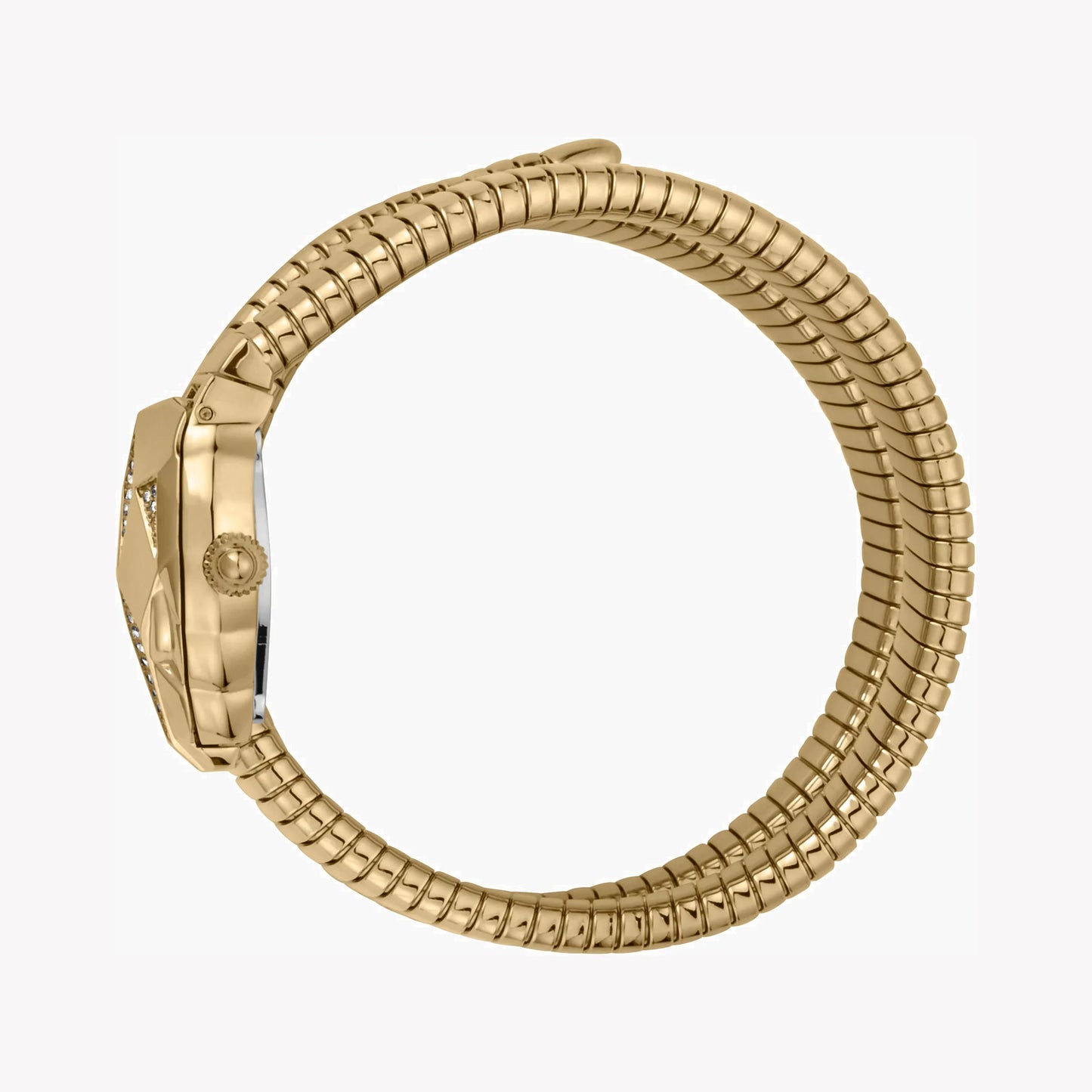 Just Cavalli Women's Gold Stainless Steel Watch, Champagne Dial | Jc1l073m0025-1