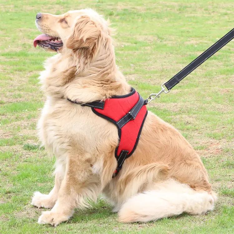 Adjustable Dog Harness 🐕‍🦺 Comfortable & Durable Pet Harness by Inland Leather