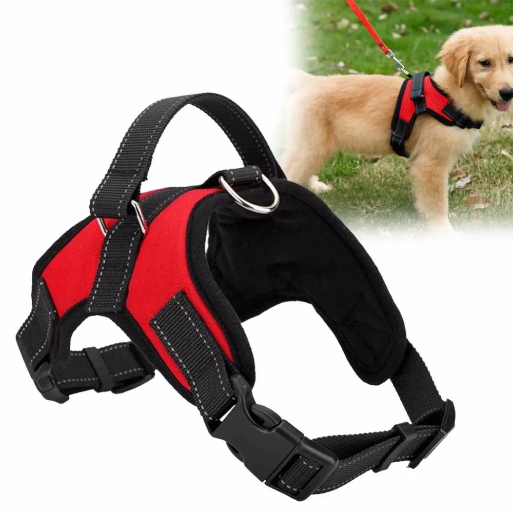 Adjustable Dog Harness 🐕‍🦺 Comfortable & Durable Pet Harness by Inland Leather