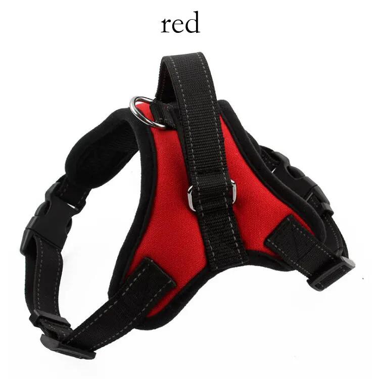 Adjustable Dog Harness 🐕‍🦺 Comfortable & Durable Pet Harness by Inland Leather