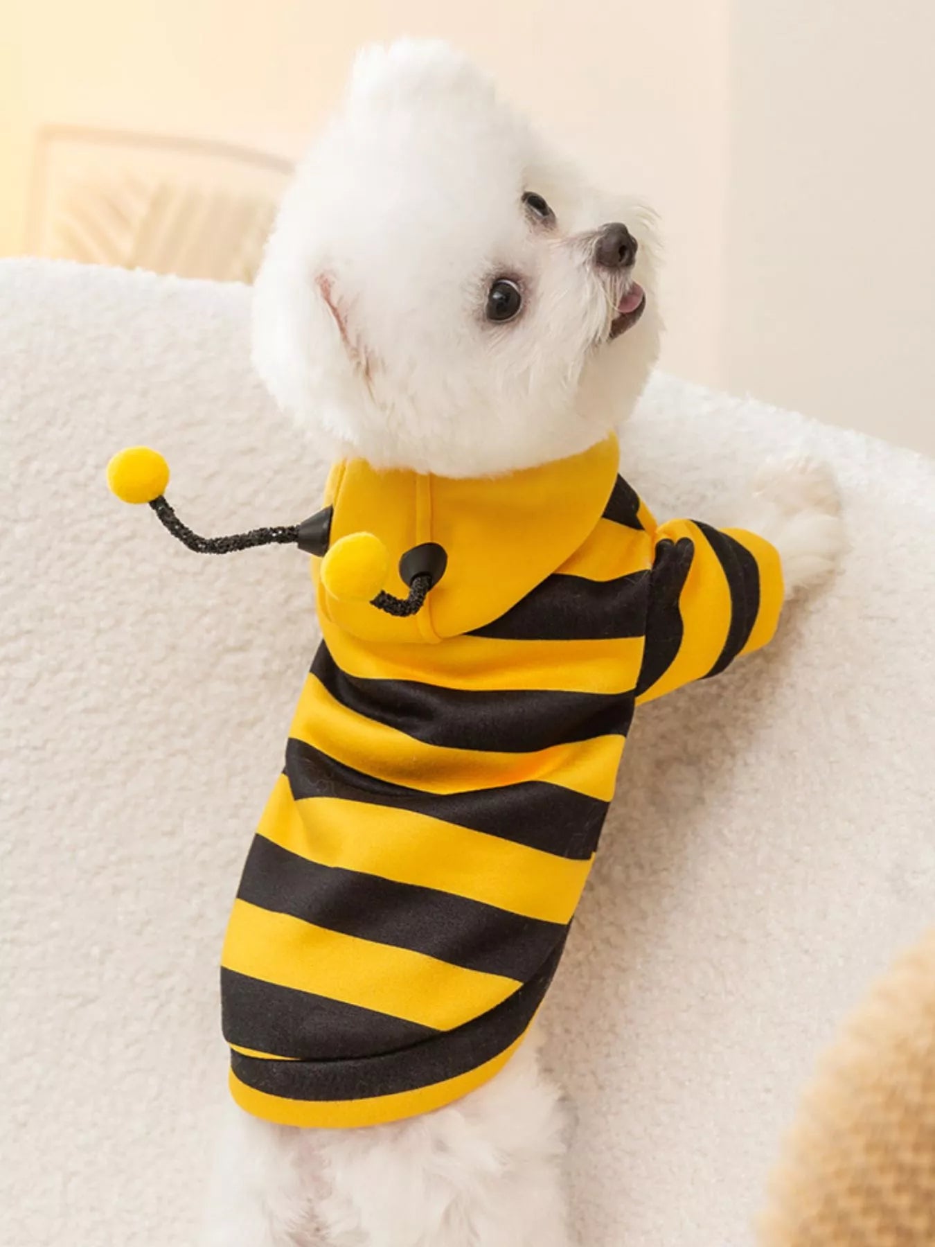 e70de2e6-864c-42a1-a795-08545b37bb52-Max-Origin