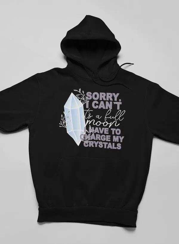 Sorry i can't Hoodie by Merch