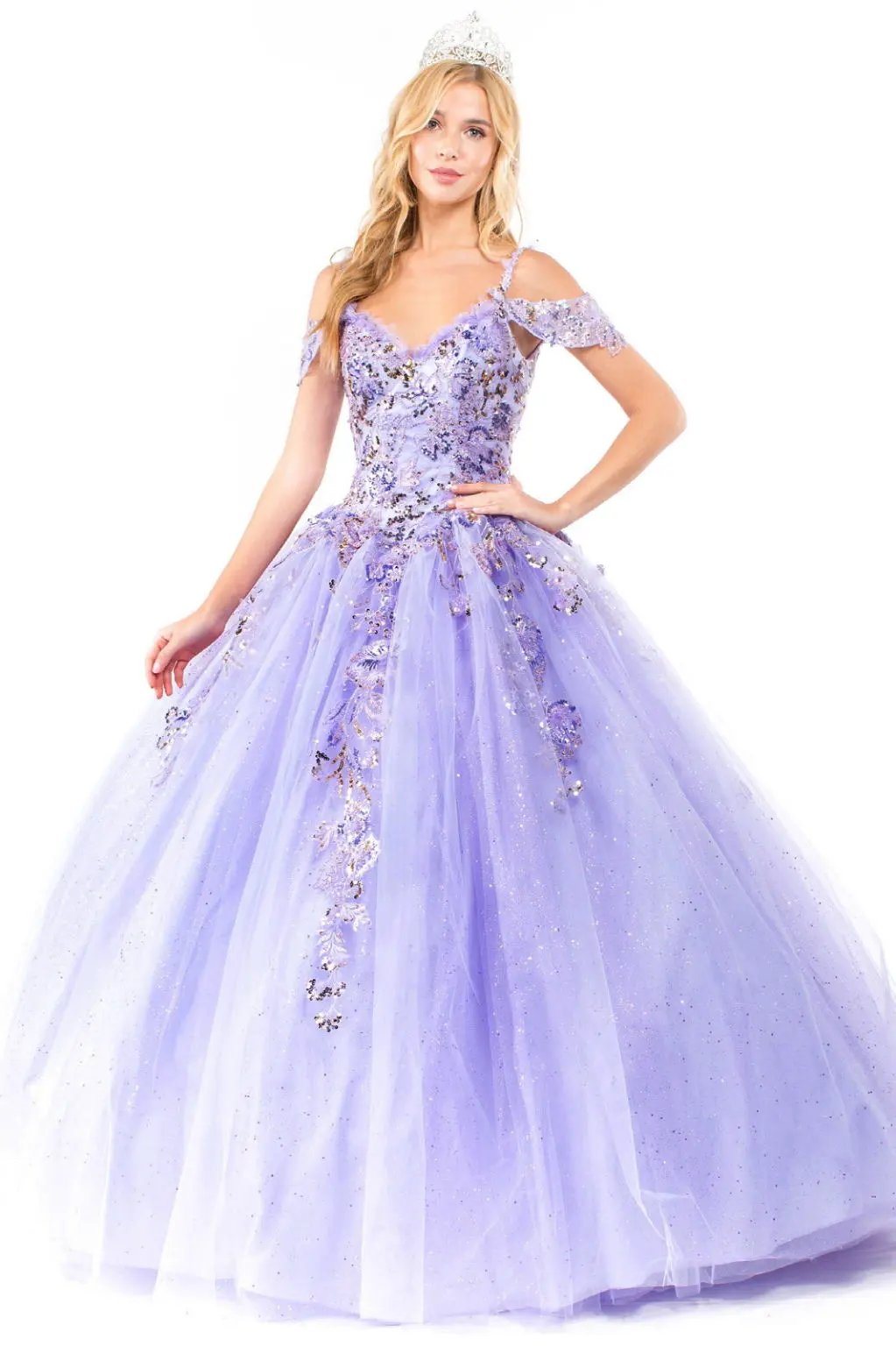 Embroidery Embellished Glitter Mesh Quinceanera Dress by Tux-USA