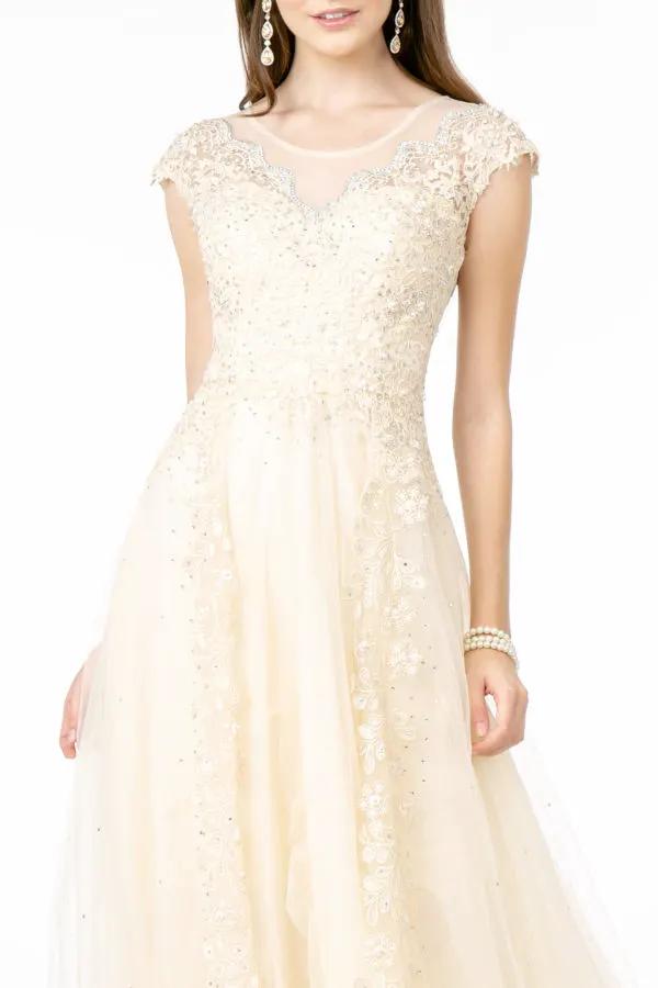 Embroidered Mesh A-Line Long Dress w/ Sheer Back by Tux-USA