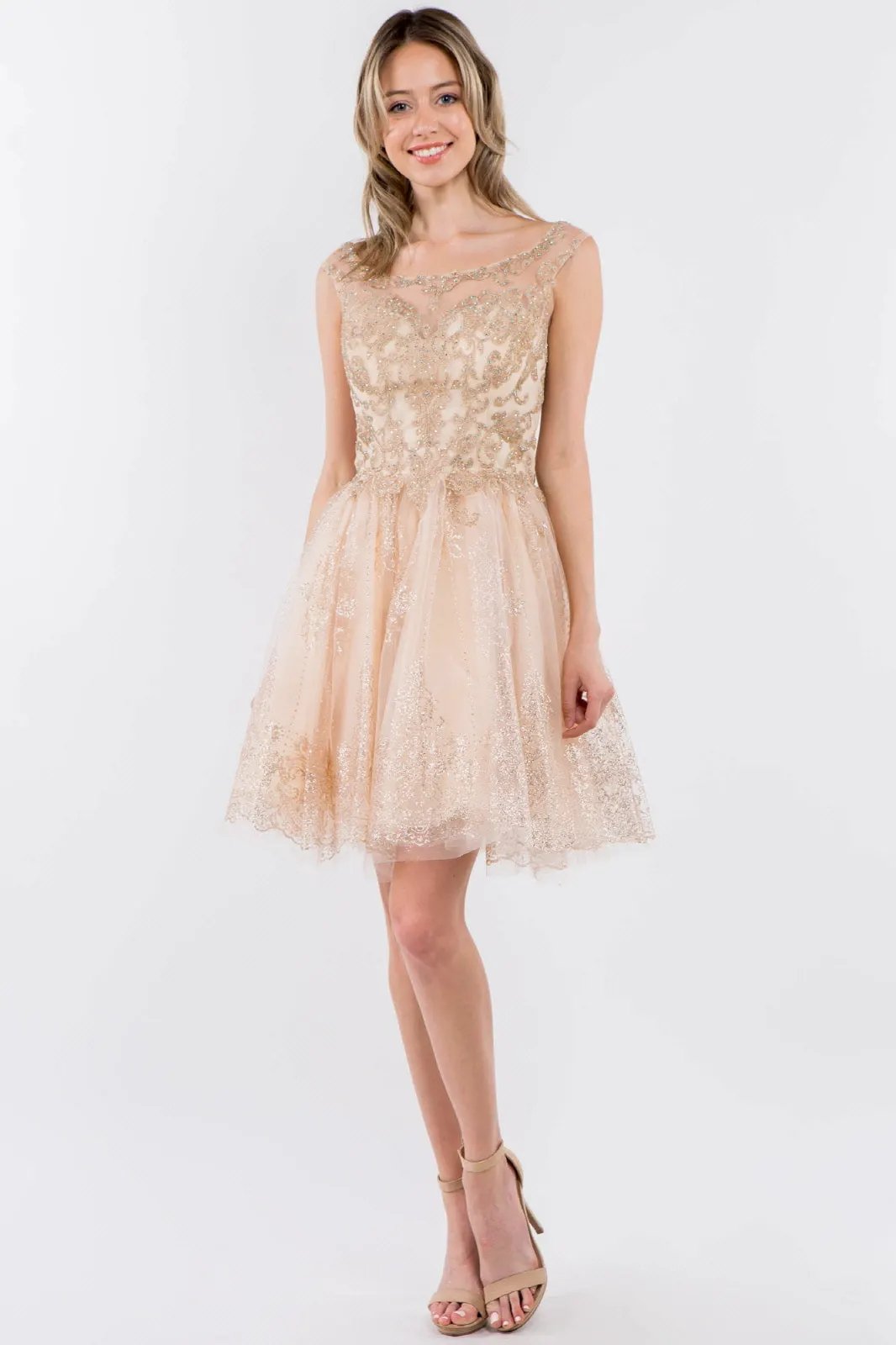 Embroidery Embellished Bodice Glitter Pattern Mesh Skirt Short Dress by Tux-USA