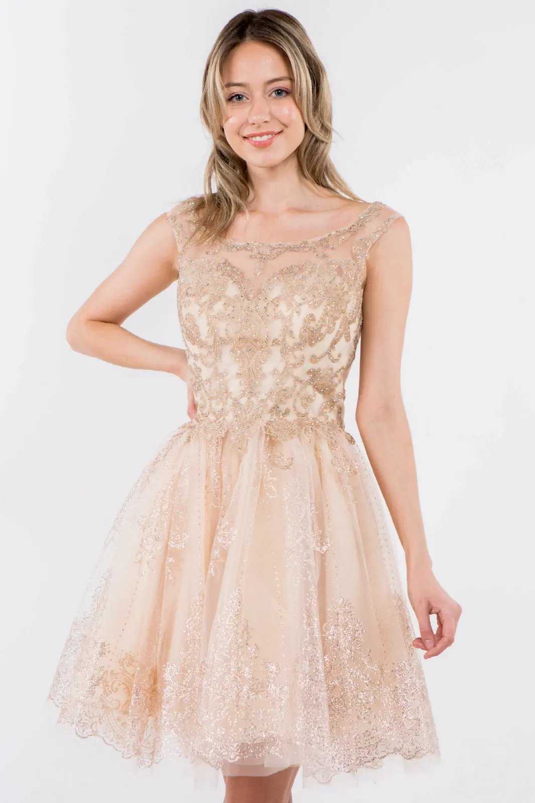Embroidery Embellished Bodice Glitter Pattern Mesh Skirt Short Dress by Tux-USA