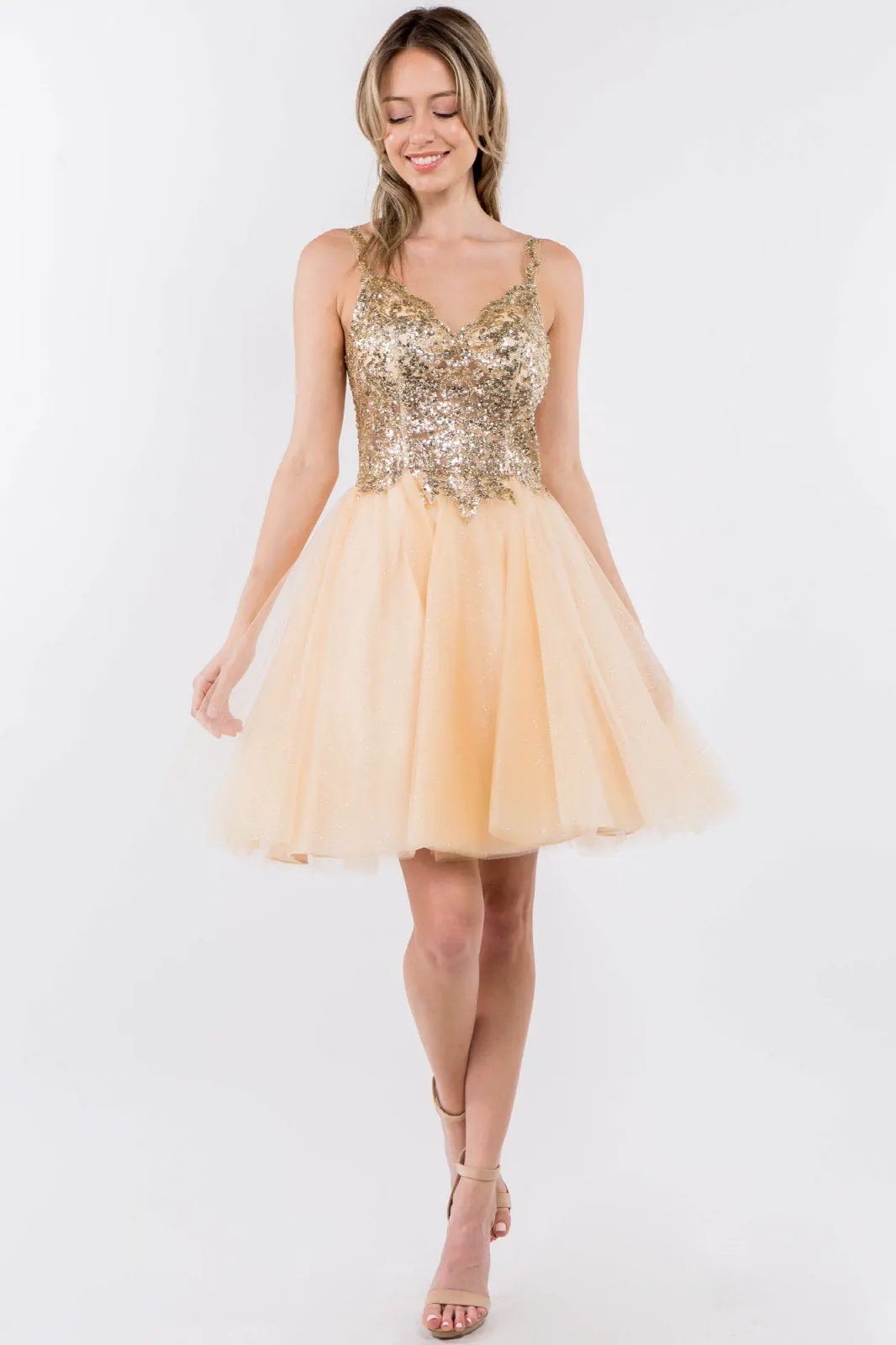 Sequin and Glitter Embellished Sheer Bodice V-Neck Short Dress by Tux-USA