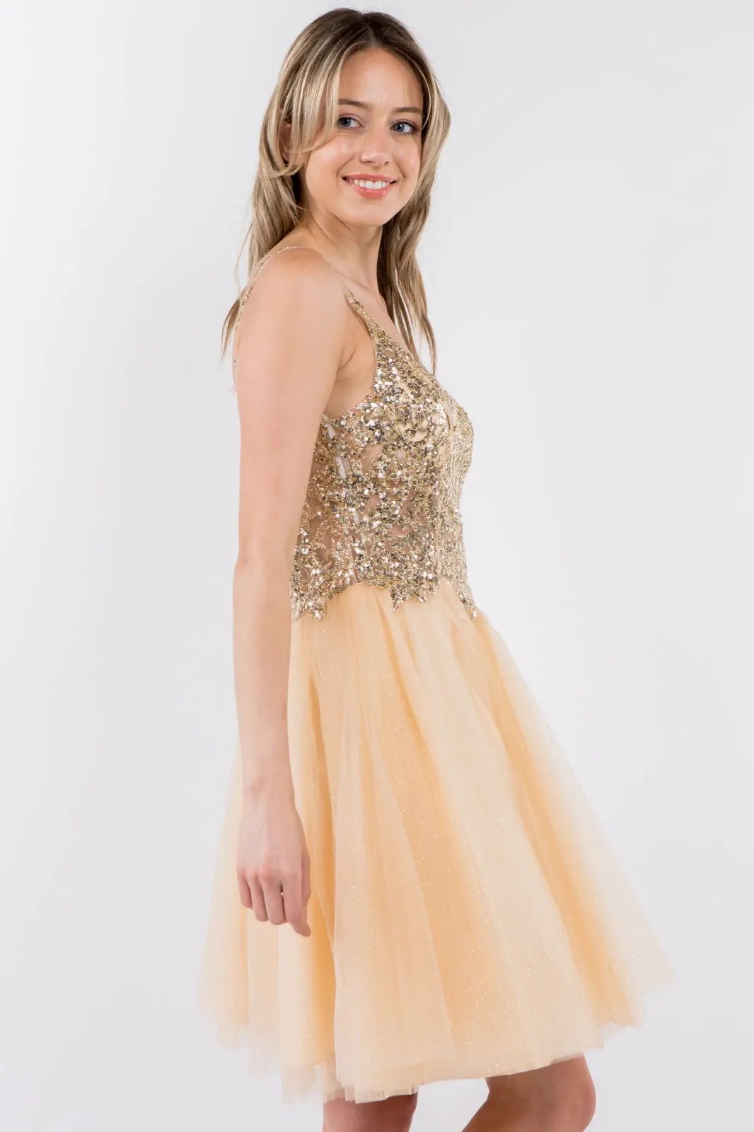 Sequin and Glitter Embellished Sheer Bodice V-Neck Short Dress by Tux-USA