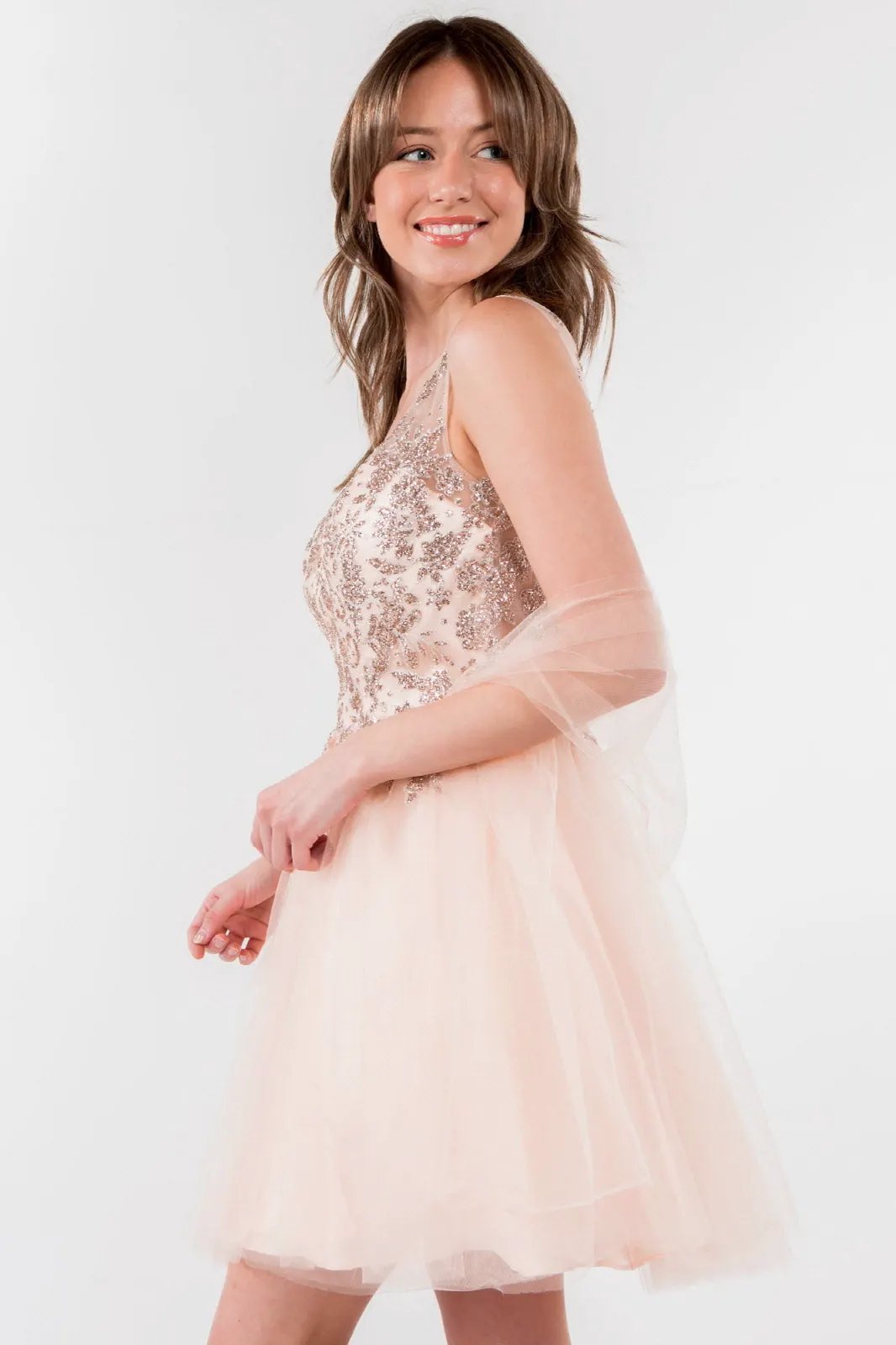 Glitter Embellished Bodice V-Neck Tulle Short Dress by Tux-USA