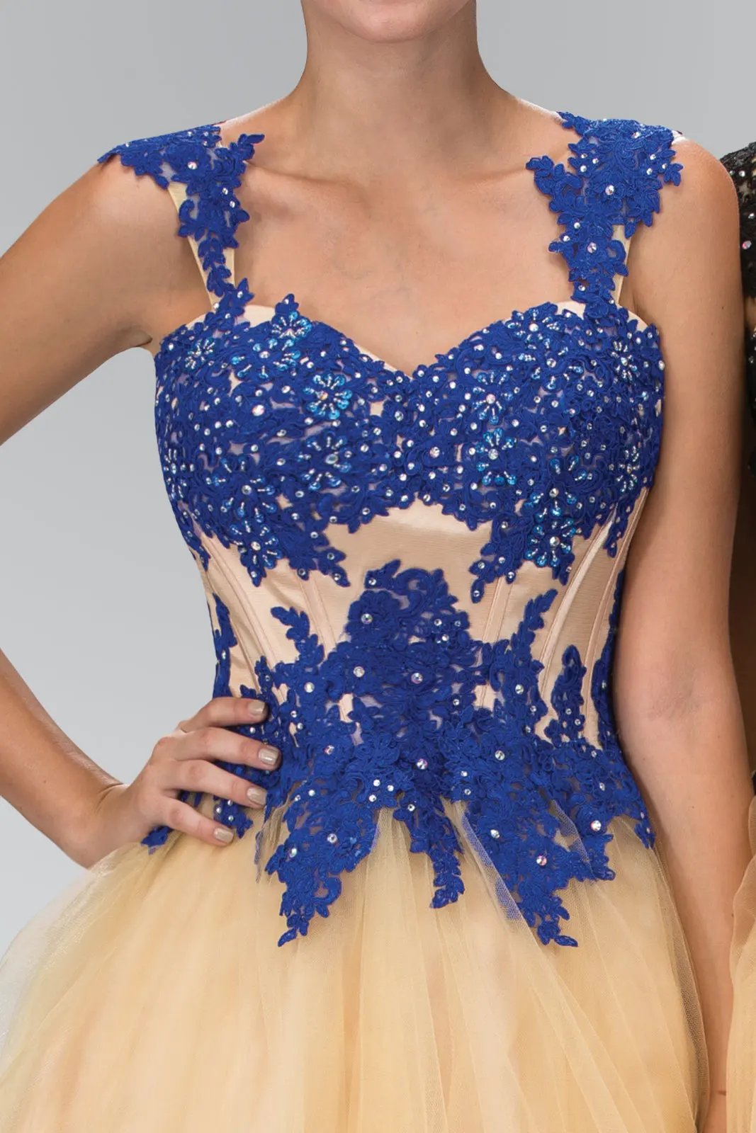 Dress Rolled Hem Tulle Floral Lace Bodice Open Back Color Variants by Tux-USA