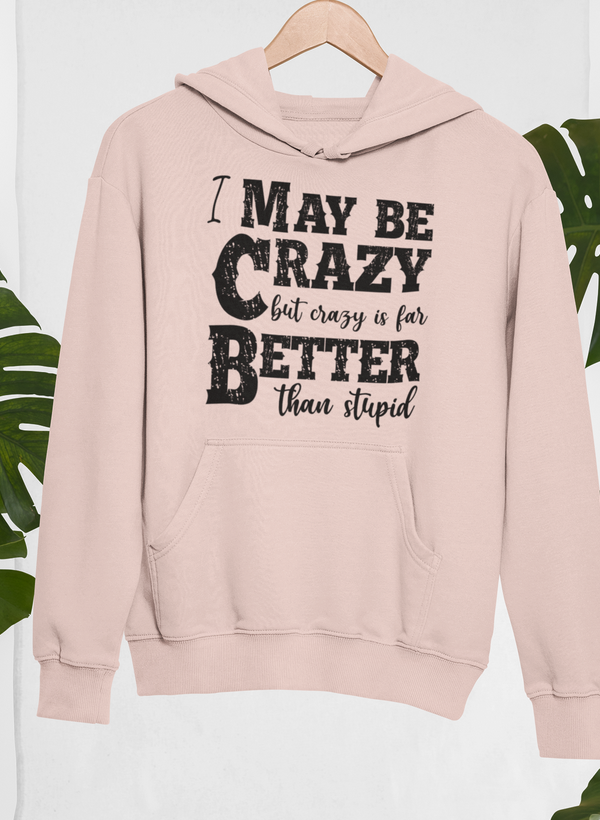 I May Be Crazy But Crazy Is Far Better Than Stupid Hoodie by Merch