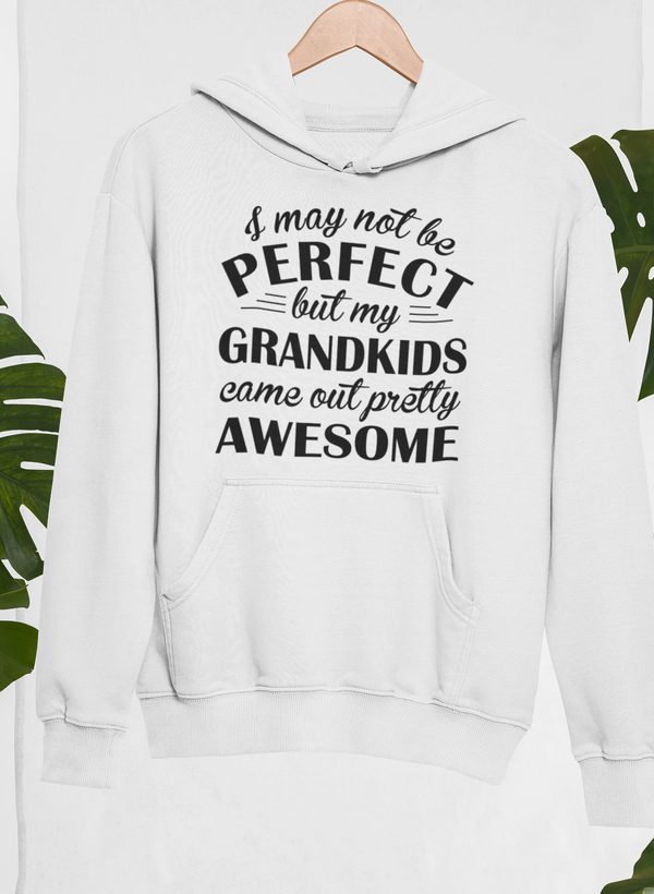 I May Not Be Perfect Hoodie by Merch