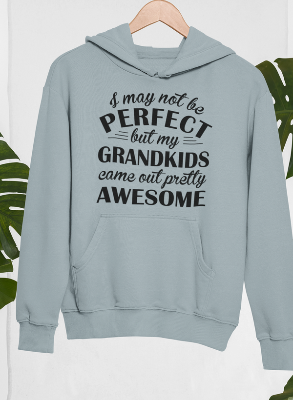 I May Not Be Perfect Hoodie by Merch