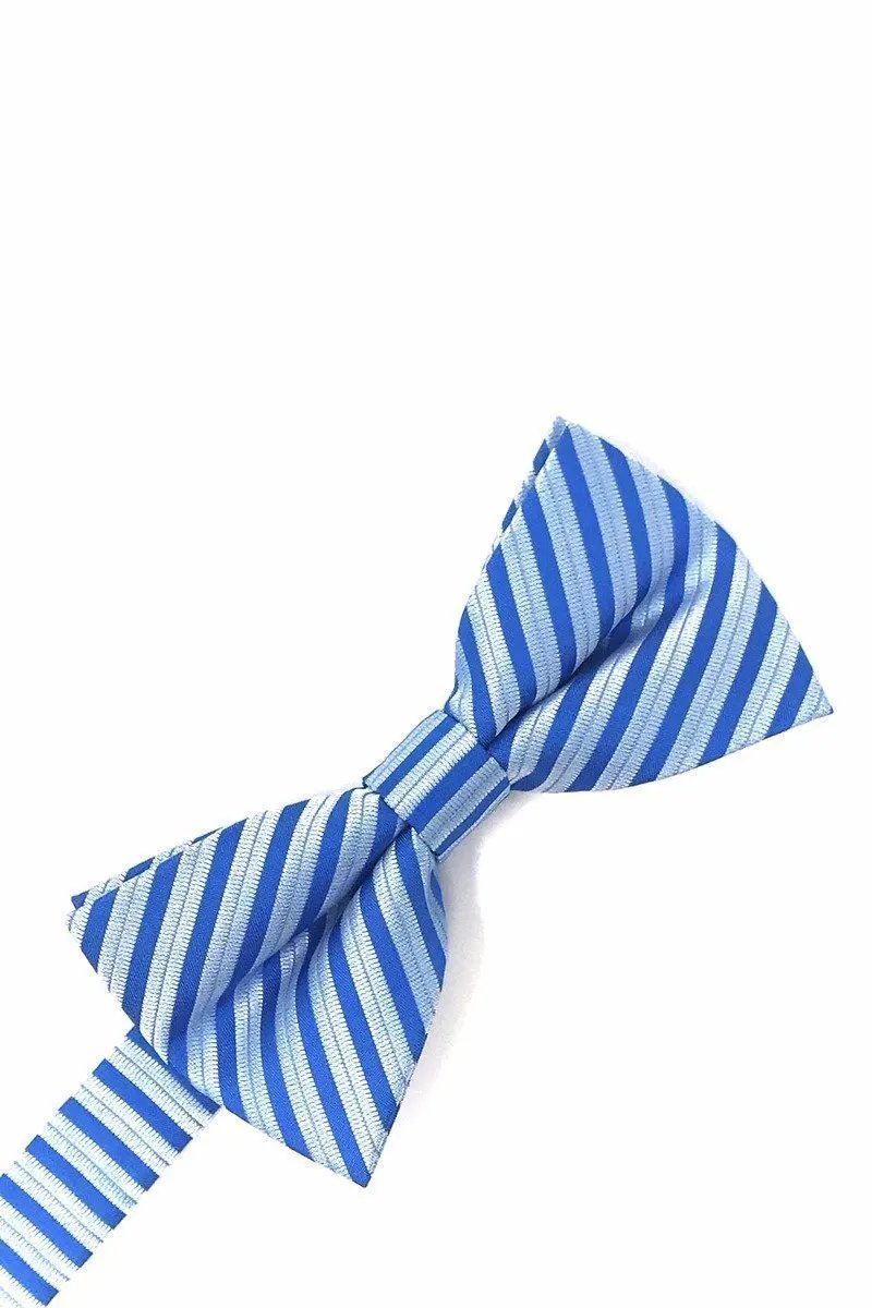 Newton Stripe Bow Tie by Tux-USA