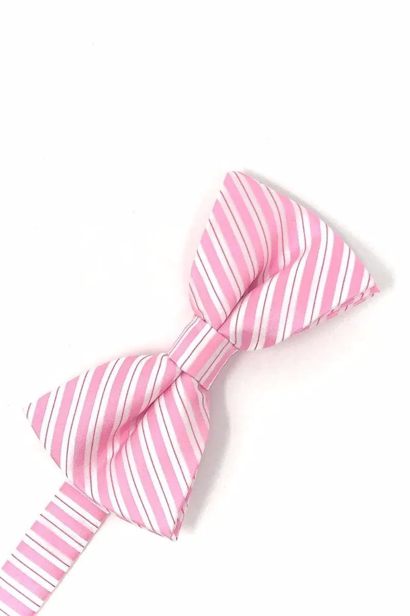 Newton Stripe Bow Tie by Tux-USA