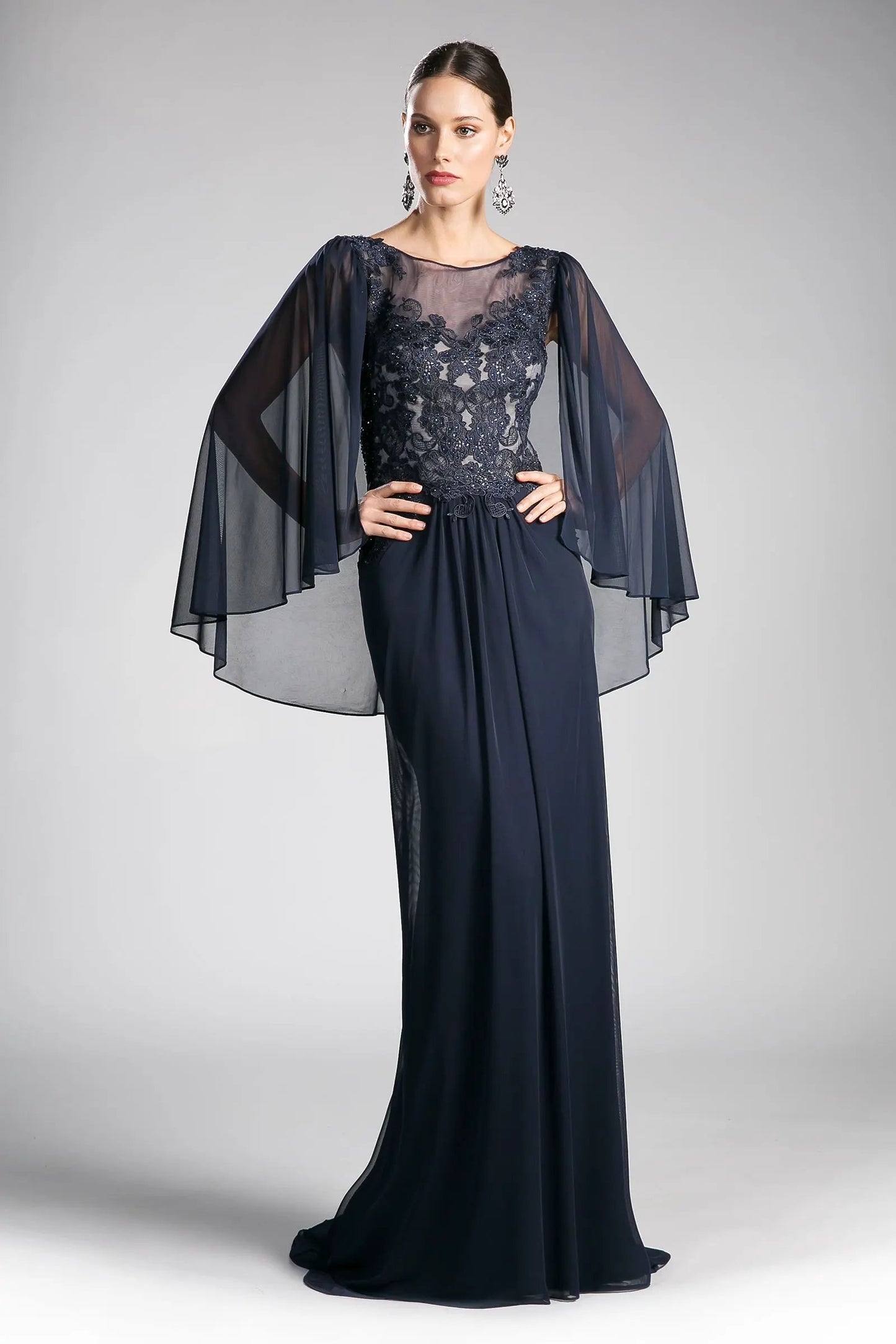 Beaded Lace Chiffon Empire Waist Dress by Partner Label