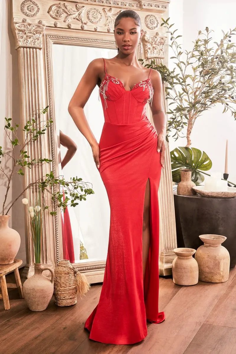 Iridescent Fitted Gown With Embellished Details by Tux-USA