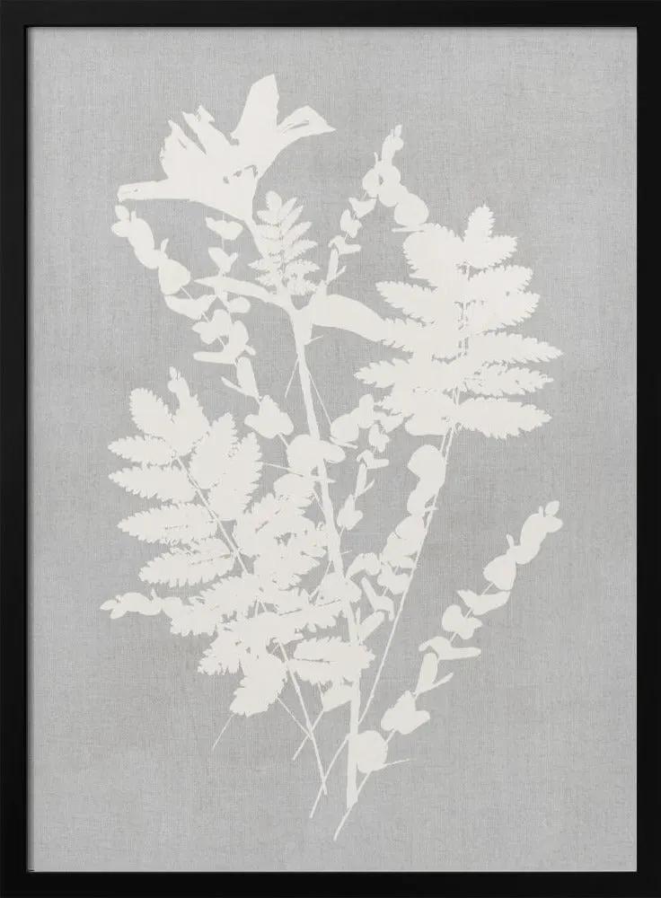 Wall art Botanical Illustration 5 by Cartissi