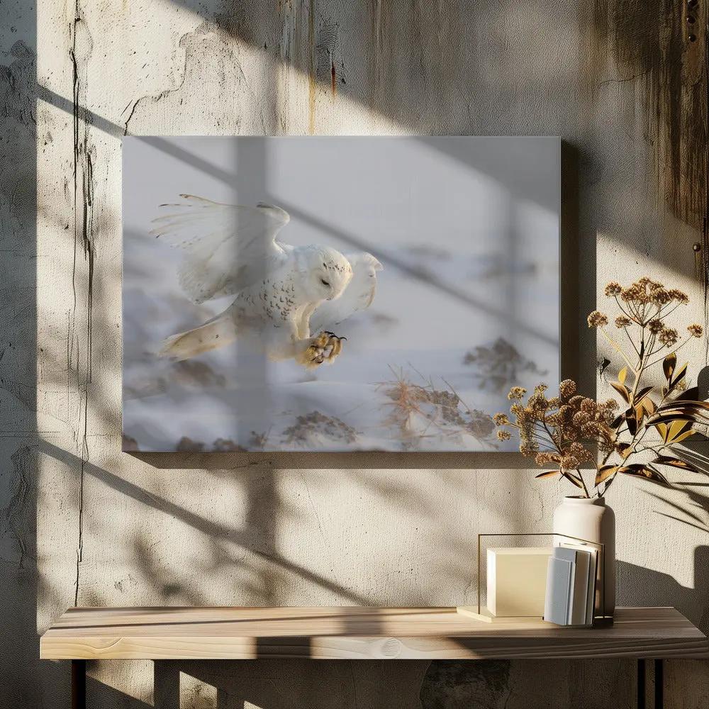 Wall art Landing by Cheng Chang
