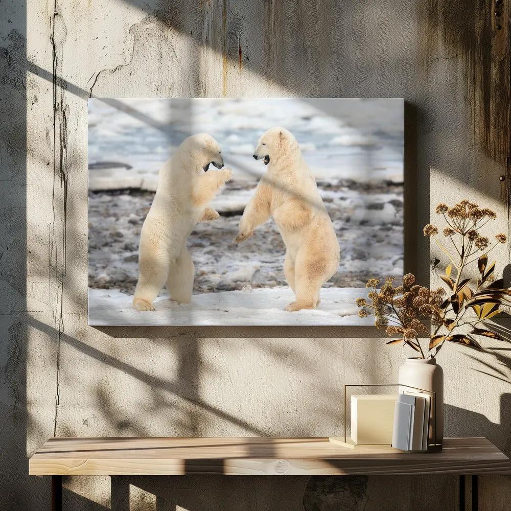 Wall art Fight ! by Alessandro Catta