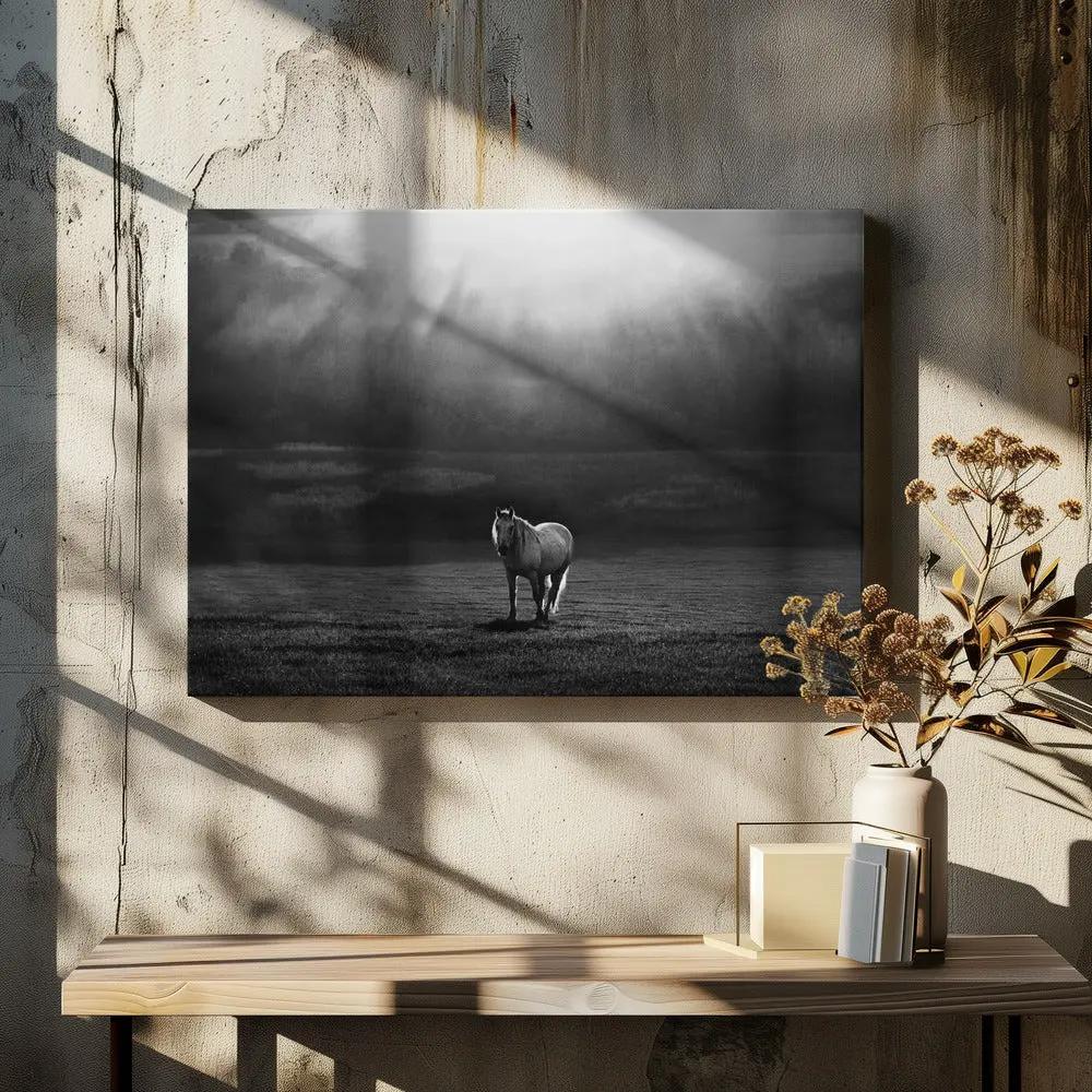Wall art morning appearance. Hourses by Peter Svoboda MQEP
