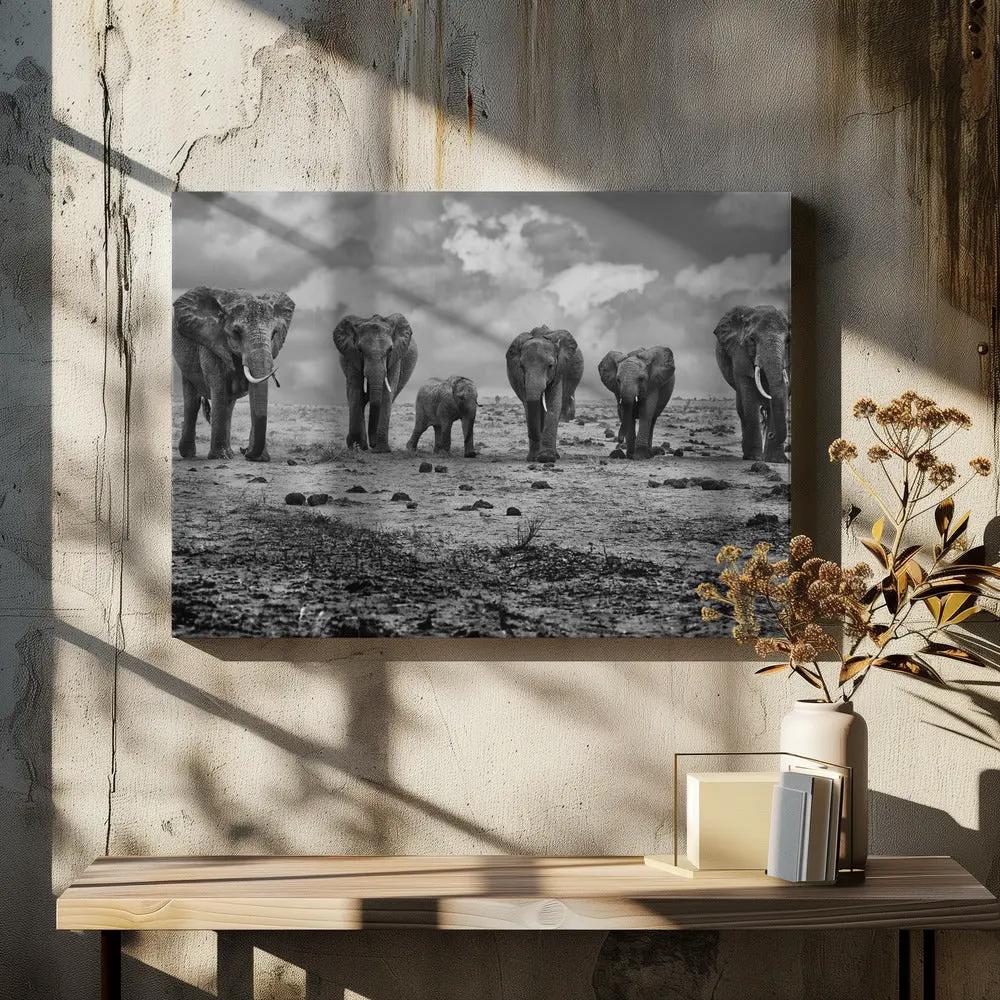 Wall art Big Family. Elephants by Marcel Rebro