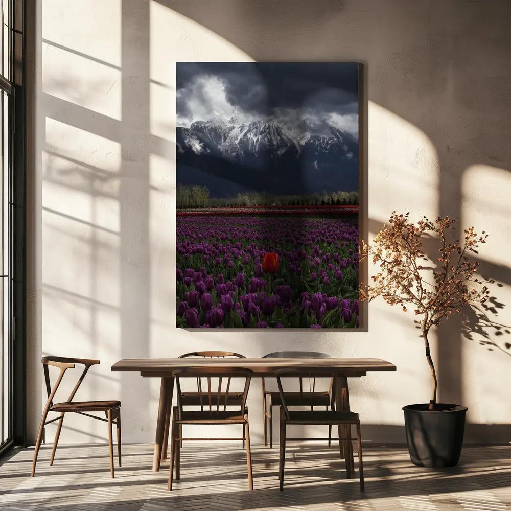 Wall art Tulip in Vancouver, Canada by Leon U