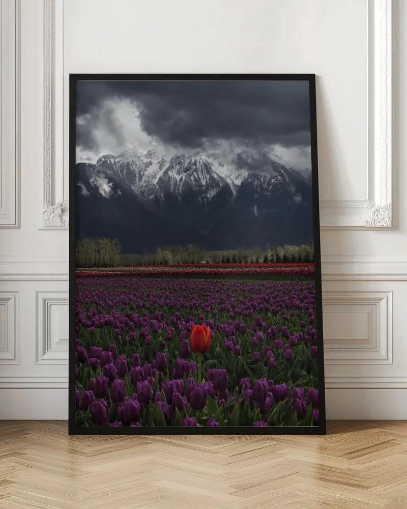 Wall art Tulip in Vancouver, Canada by Leon U