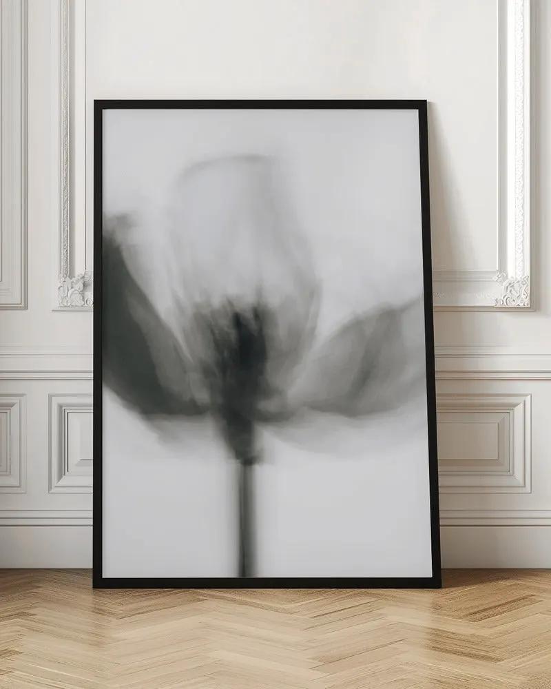 Wall art Mono Tulip by Magda Izzard