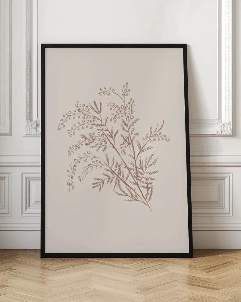 Wall art Acacia Botanical Branch by Anis Illustration