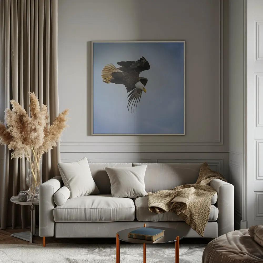 Wall art Taking Flight by Benton Murphy