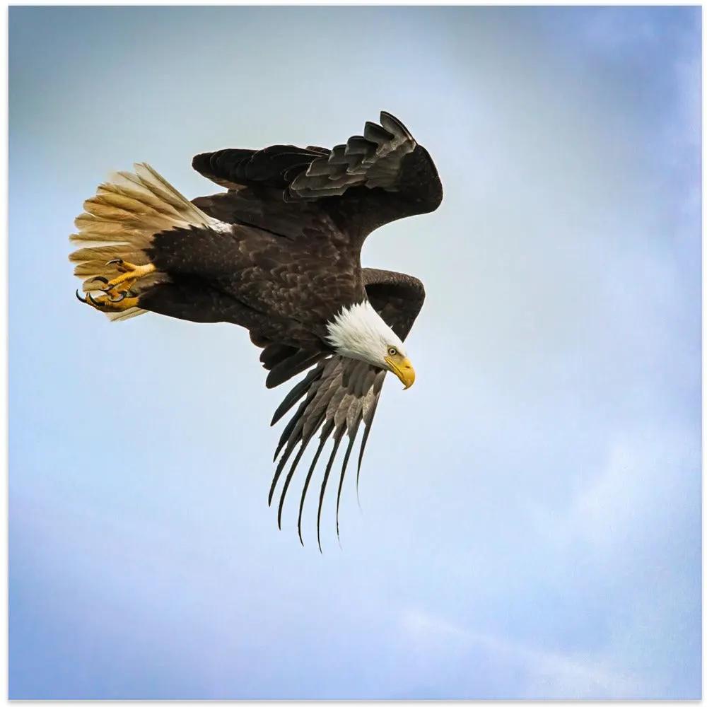 Wall art Taking Flight by Benton Murphy