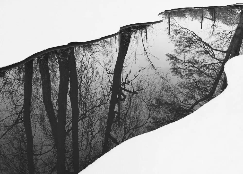 Wall art Riverside by Leif Westling