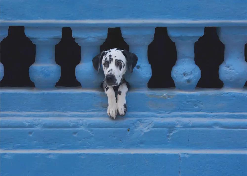 Wall art Centro Habana by Roxana Labagnara