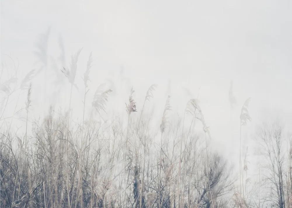 Wall art Landscape of reeds and grass by Imaginative