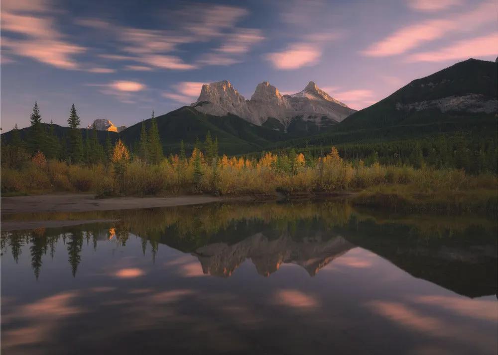 Wall art Three Sisters and A Little Brother by Johnny Zhang