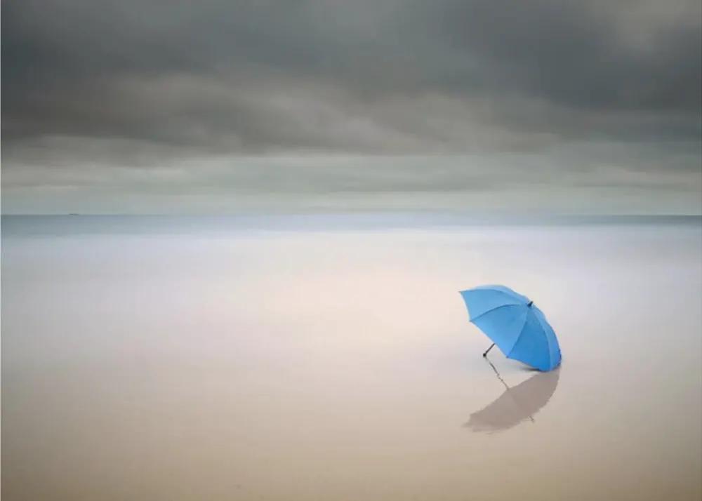 Wall art Summer Rain by Paulo Dias