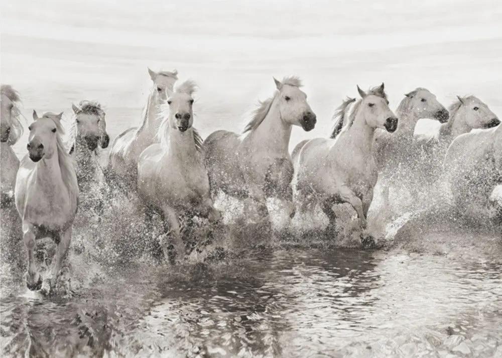 Wall art Illusion of power (13 horse power though) by Roman Golubenko