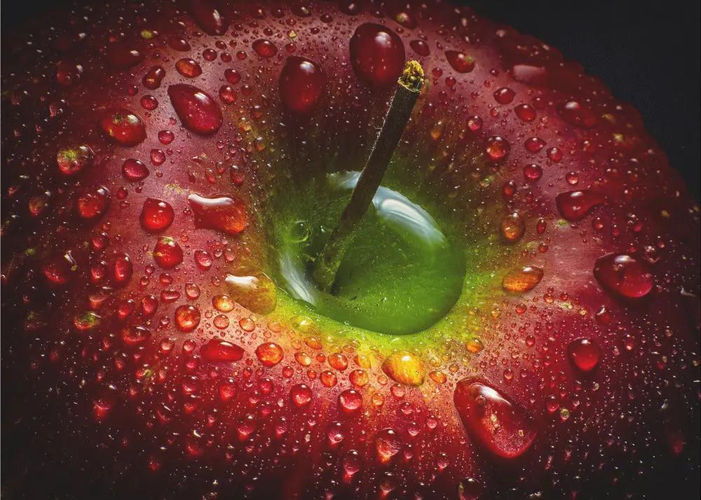 Wall art Red Apple. Food by Aida Ianeva